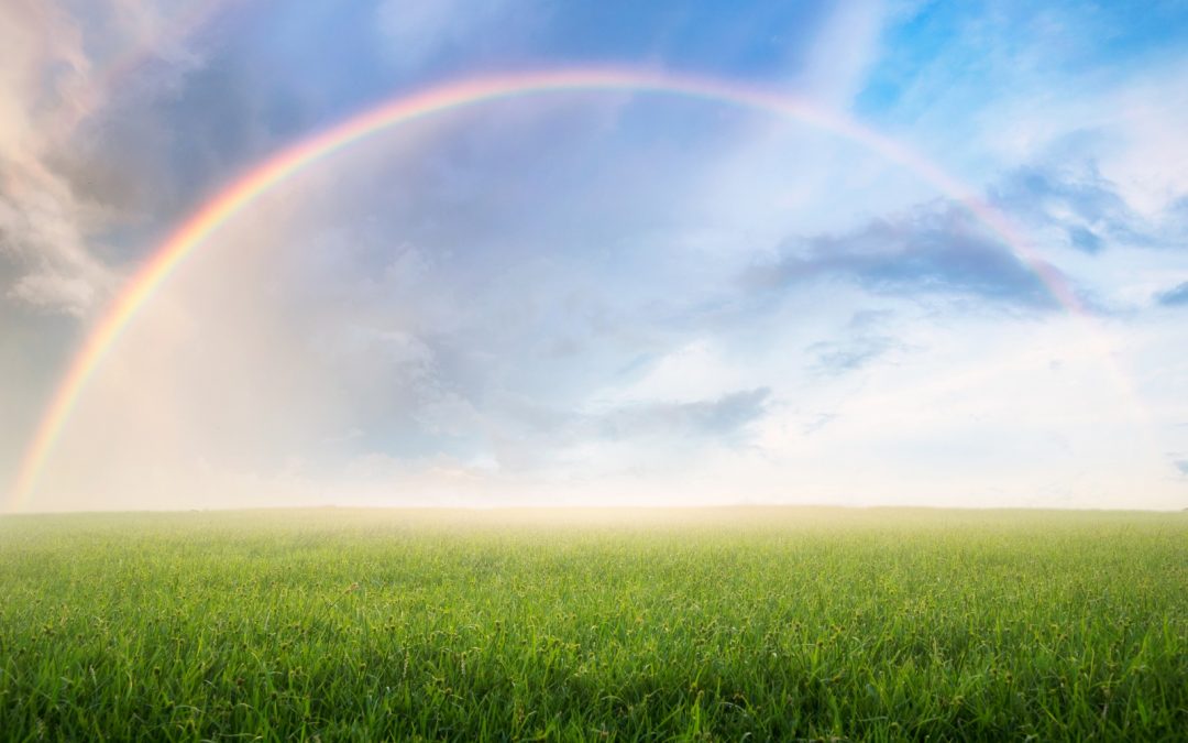 Regnbågens dag