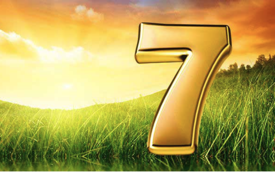 Sju fakta om den sjunde dagen