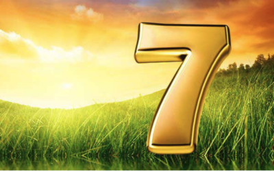 Sju fakta om den sjunde dagen